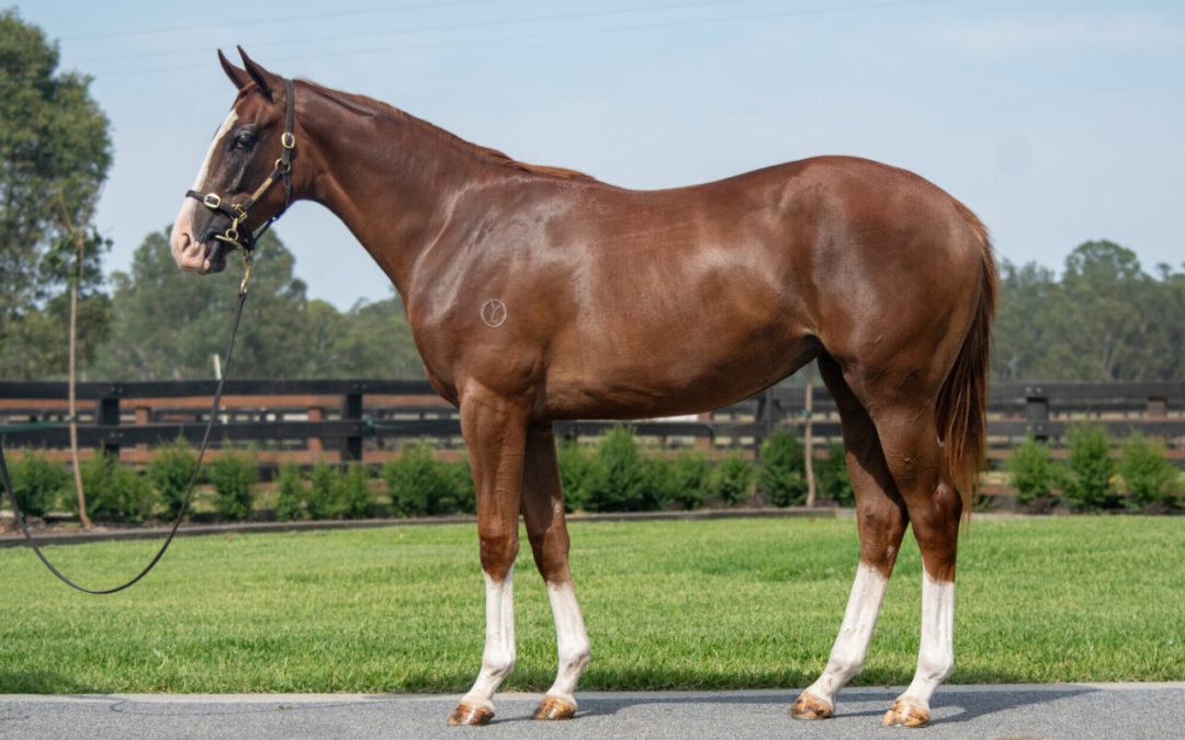 Un-named (Written Tycoon – Lilac Fairy)