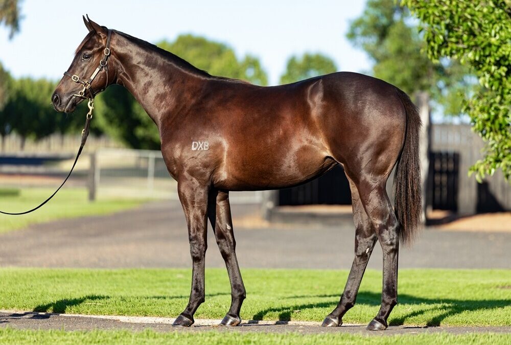 Un-named (Too Darn Hot – Roobeena)